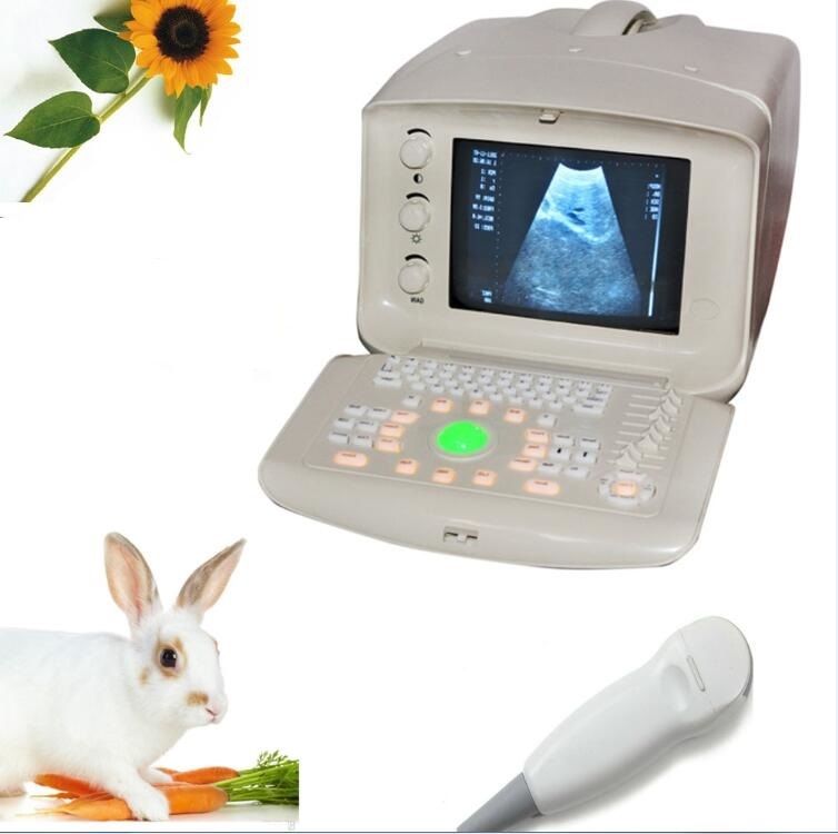 Veterinary B-Ultrasound Scanner/Machine Micro-convex Array Probe VET/Animals 3D 190891949295 DIAGNOSTIC ULTRASOUND MACHINES FOR SALE