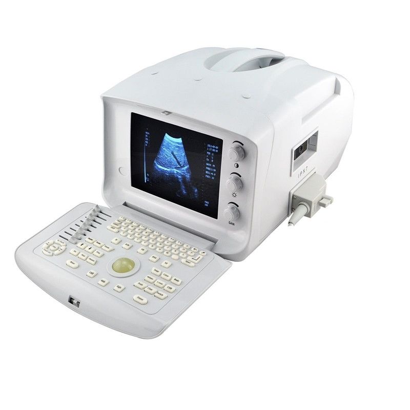 Digital Ultrasound Scanner B Ultrasound machine Convex +Linear 2 Probes 3D Sale DIAGNOSTIC ULTRASOUND MACHINES FOR SALE