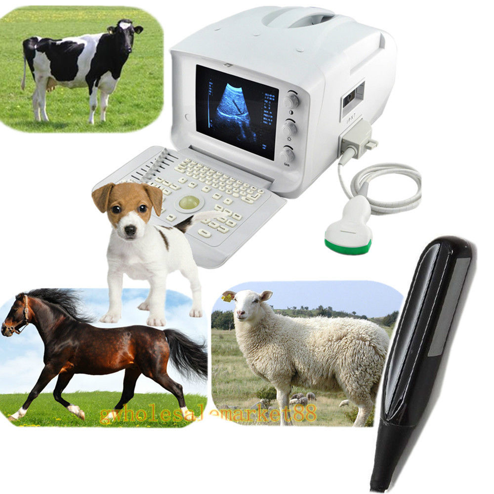 TOP Vet Veterianry Ultrasound Scanner 3.5 Convex + 6.5Mhz Rectal linear probe 190891565839 DIAGNOSTIC ULTRASOUND MACHINES FOR SALE