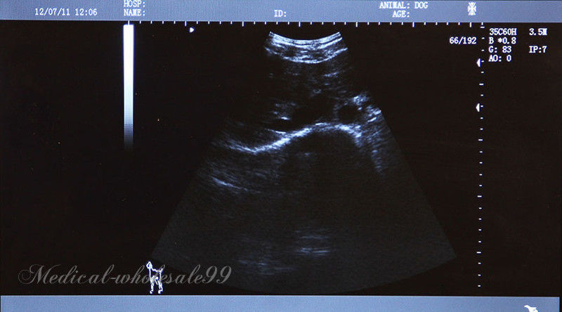 Laptop Machine Veterinary Ultrasound Scanner Covex & Rectal Animal Probe 3D Sale 190891516459 DIAGNOSTIC ULTRASOUND MACHINES FOR SALE