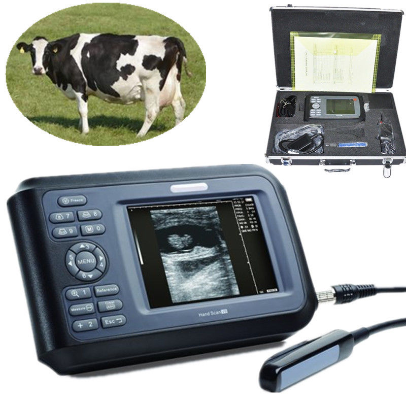 DHL Fast Ship Color Veterinary Digital PalmSmart Ultrasound Scanner+Rectal Probe 190891833501 DIAGNOSTIC ULTRASOUND MACHINES FOR SALE