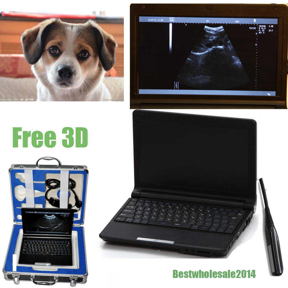 veterinary Laptop Vet Ultrasound Scanner Machine Animal Rectal probe 3D Sale 190891379269 DIAGNOSTIC ULTRASOUND MACHINES FOR SALE
