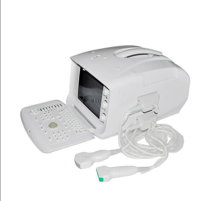 Free 3D Digital Ultrasound Scanner Machine Convex /Curve Vignial 2 probes USB 190891933249 DIAGNOSTIC ULTRASOUND MACHINES FOR SALE