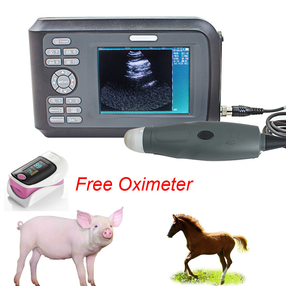 【USA】Veterinary Ultrasound Scanner Rectal Probe For Pig Dog Pregnancy+ GIFT 190891468284 DIAGNOSTIC ULTRASOUND MACHINES FOR SALE