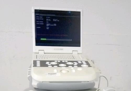 Siemens Acuson P300 Portable Ultrasound Machine With two Probes (LA523, CA431 DIAGNOSTIC ULTRASOUND MACHINES FOR SALE