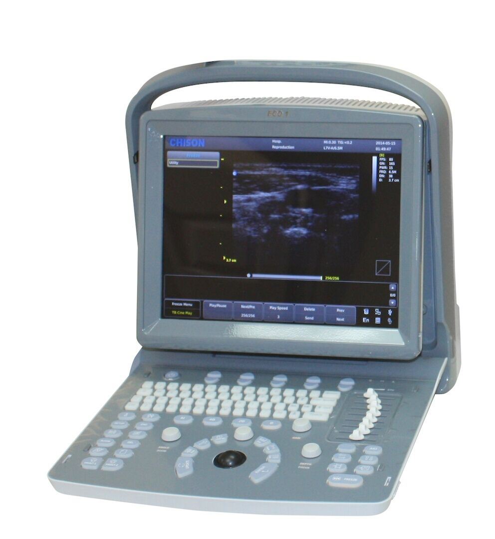 Bovines, Equine, Tierärztlich Tragbar Ultraschall Maschine, ECO1Vet mit Zwei DIAGNOSTIC ULTRASOUND MACHINES FOR SALE