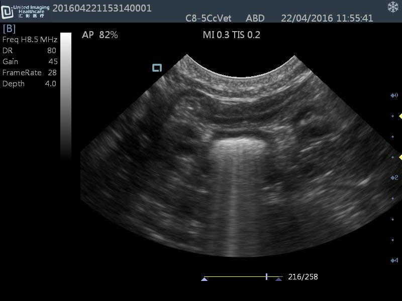 Quality DP30 Veterinary Ultrasound 12" Screen & Rectal Probe, 50L60EAV DIAGNOSTIC ULTRASOUND MACHINES FOR SALE