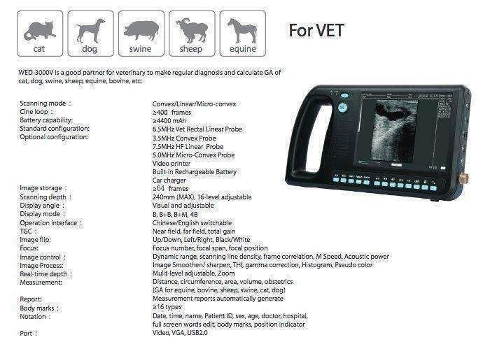 WED-3000 Veterinary Ultrasound Scanner with Rectal Probe - Many Sold in USA DIAGNOSTIC ULTRASOUND MACHINES FOR SALE