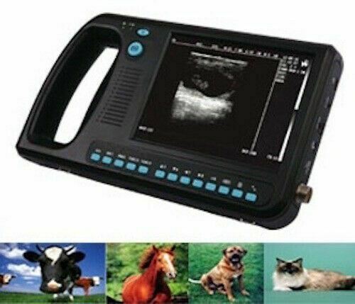 WED-3000 Veterinary Ultrasound Scanner with Rectal Probe - Many Sold in USA DIAGNOSTIC ULTRASOUND MACHINES FOR SALE