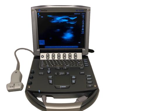 Sonosite M-Turbo Portable Ultrasound 2018 with Linear Array Probe L38xi 10-5