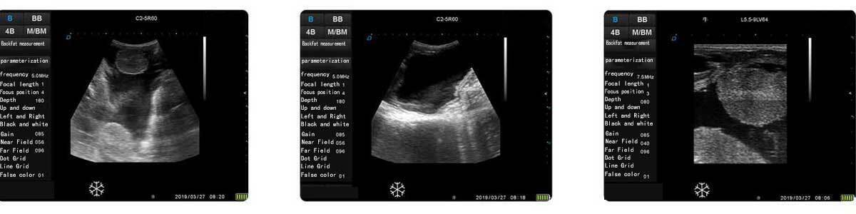 ECO-15Vet Bovine &Wireless Goggles, Convex Rectal Probe DIAGNOSTIC ULTRASOUND MACHINES FOR SALE