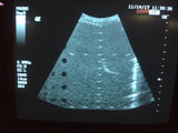GE CBF 3.5 Ultrasound Probe