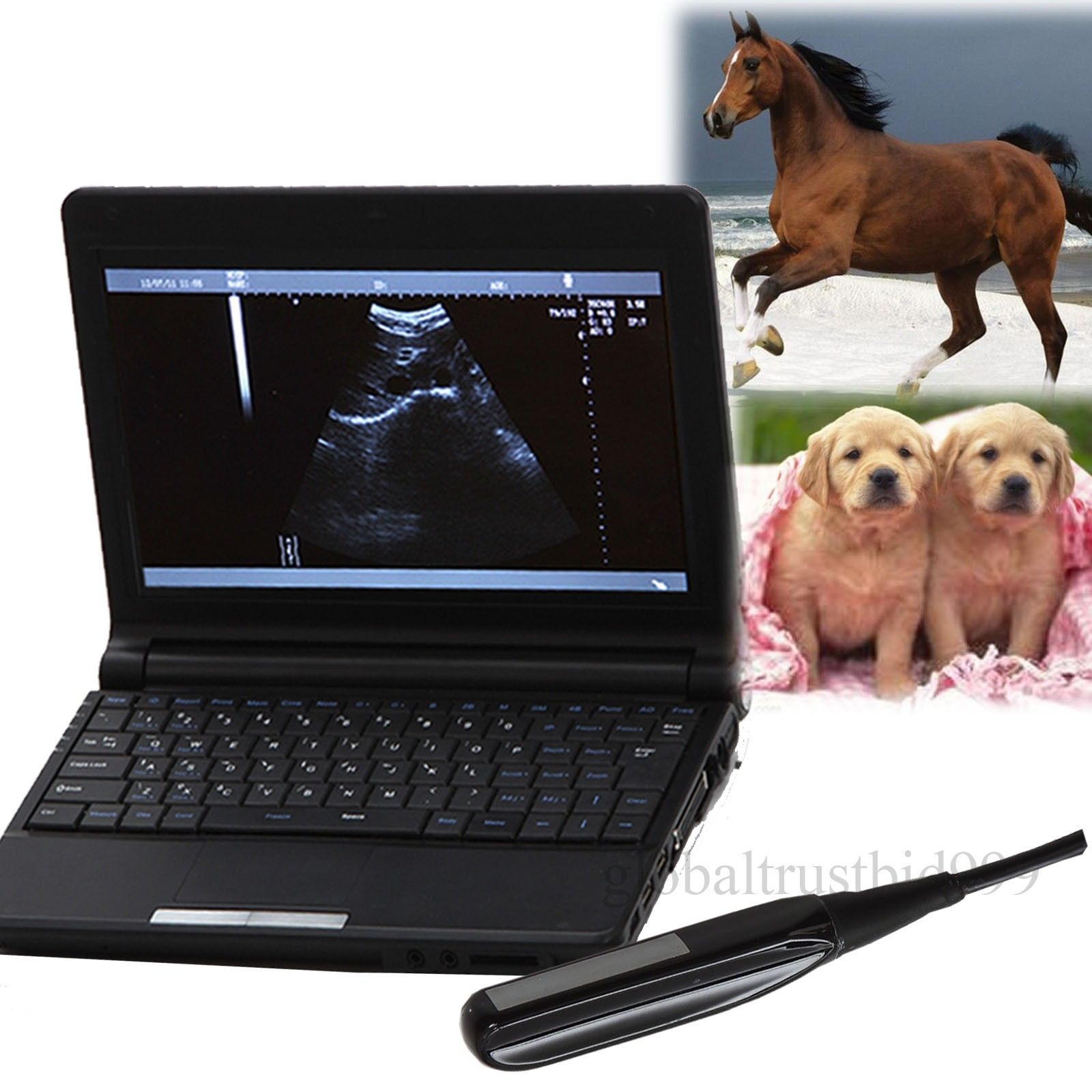 Full Digital Laptop VET Veterinary Ultrasound Scanner MACHINE + rectal PROBE 3D 190891579843 DIAGNOSTIC ULTRASOUND MACHINES FOR SALE