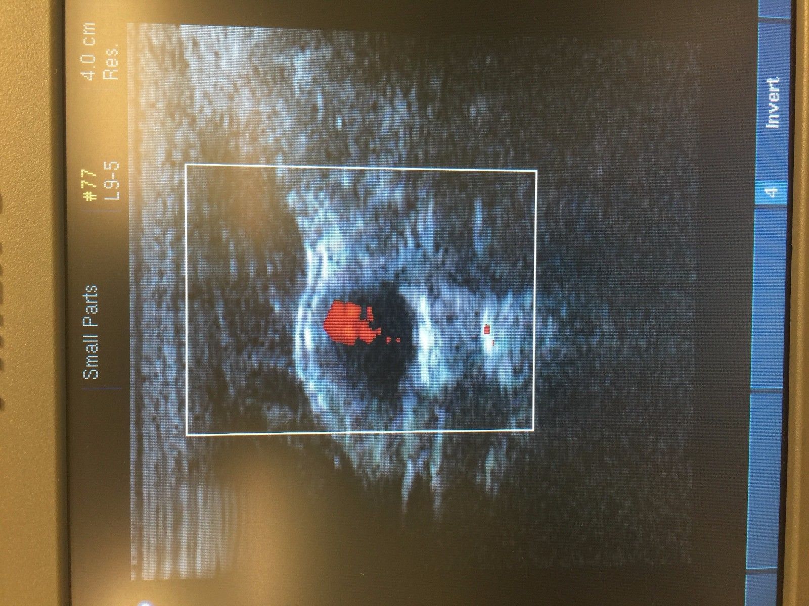 a computer screen with a picture of a red object on it