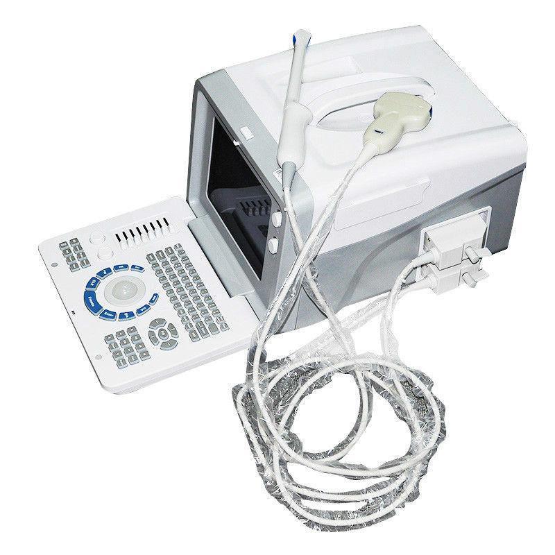 Full Digital Ultrasound Scanner System convex Transvaginal Sensor Probe+3D CE 190891814074 DIAGNOSTIC ULTRASOUND MACHINES FOR SALE