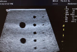 GE 9L Ultrasound Probe