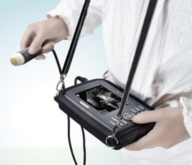 Handheld Veterinary Ultrasound Scanner System Machine Animals Convex Probe +CASE DIAGNOSTIC ULTRASOUND MACHINES FOR SALE