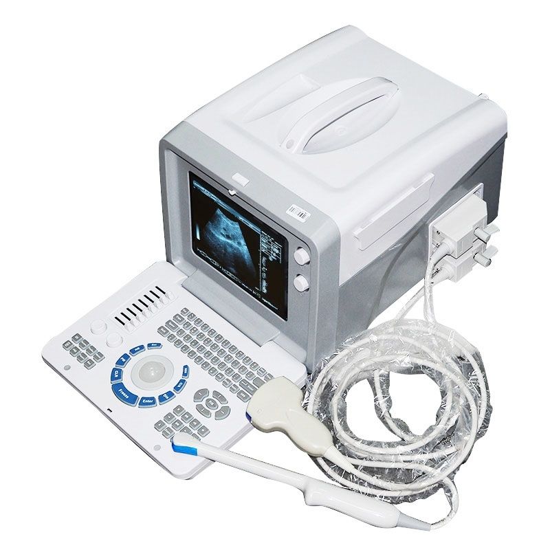 Portable Digital Ultrasound Machine Scanner + Linear +Transvaginal probe+3D New 190891758620 DIAGNOSTIC ULTRASOUND MACHINES FOR SALE