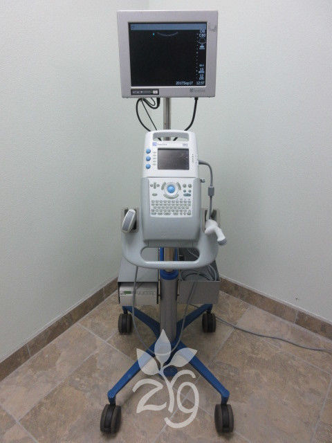 SonoSite 180 Plus Portable Ultrasound on Stand w 2 Probes, Printer and Monitor DIAGNOSTIC ULTRASOUND MACHINES FOR SALE