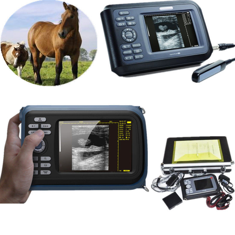 DHL Fast Ship Color Veterinary Digital PalmSmart Ultrasound Scanner+Rectal Probe 190891833501 DIAGNOSTIC ULTRASOUND MACHINES FOR SALE